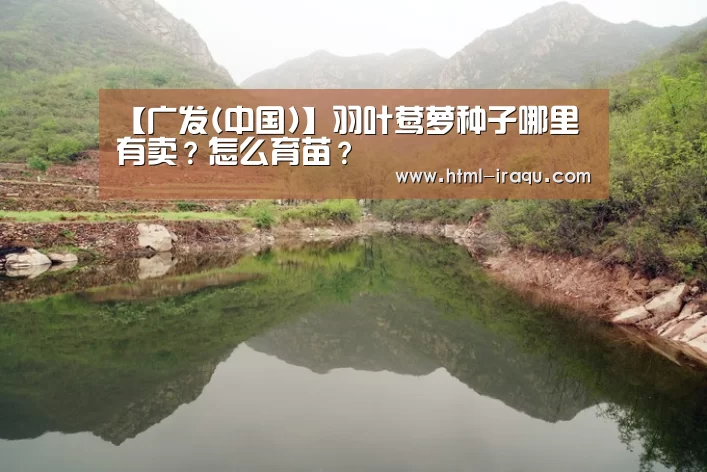 【广发(中国)】羽叶莺萝种子哪里有卖?怎么育苗?(图3) 广发(中国)