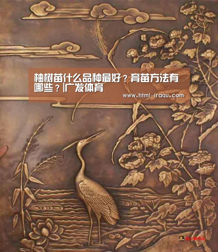 柚树苗什么品种最好?育苗方法有哪些?|广发体育(图4) 广发体育